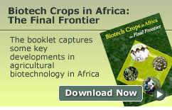 Biotech Crops in Africa:The Final Frontier The booklet captures some key developments in agricultural biotechnology in Africa [Download Now]