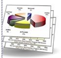 Presentation Slides