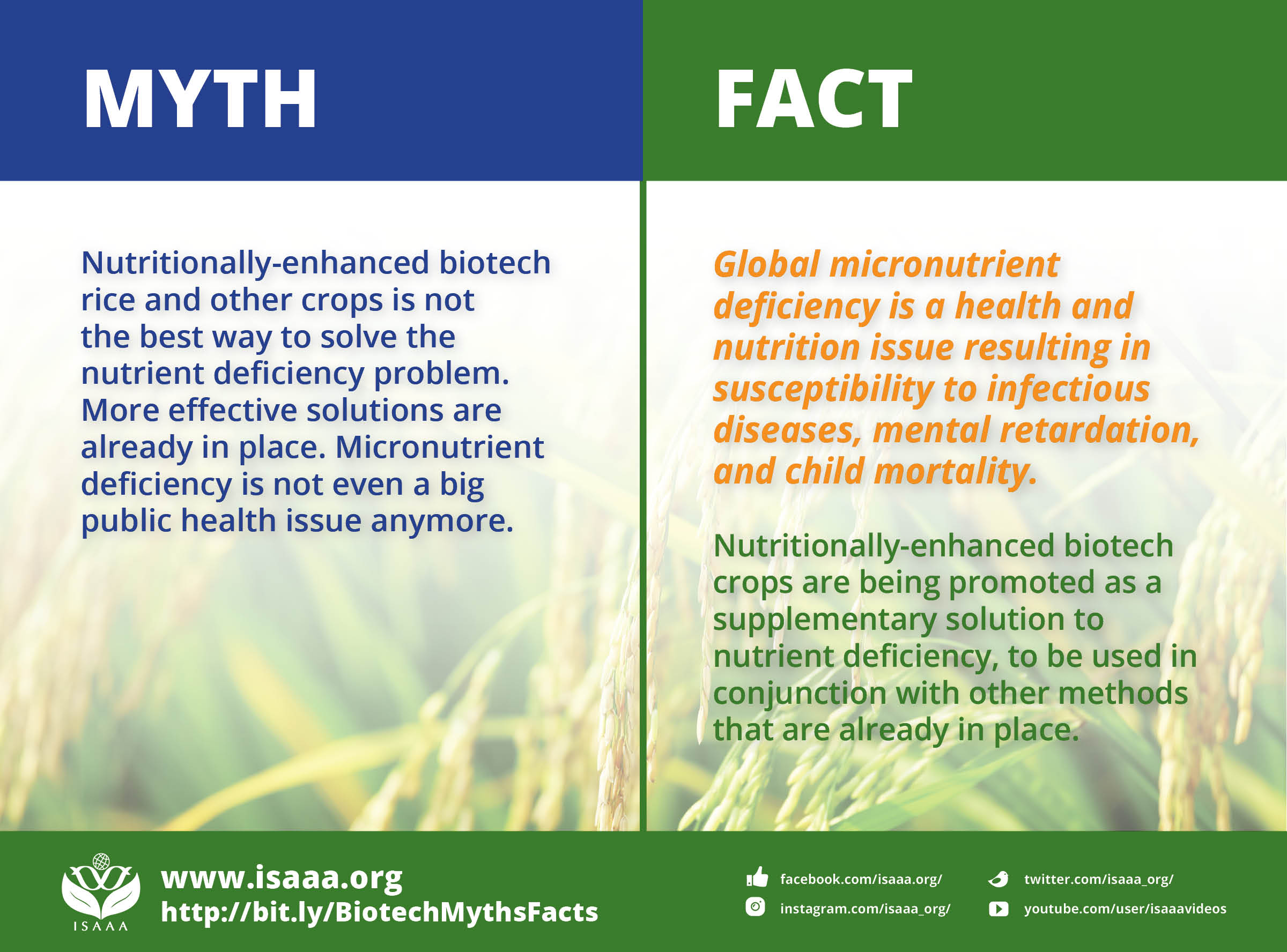 Top 5 Rice Purity Score Myths Busted! - xgx4s1c
