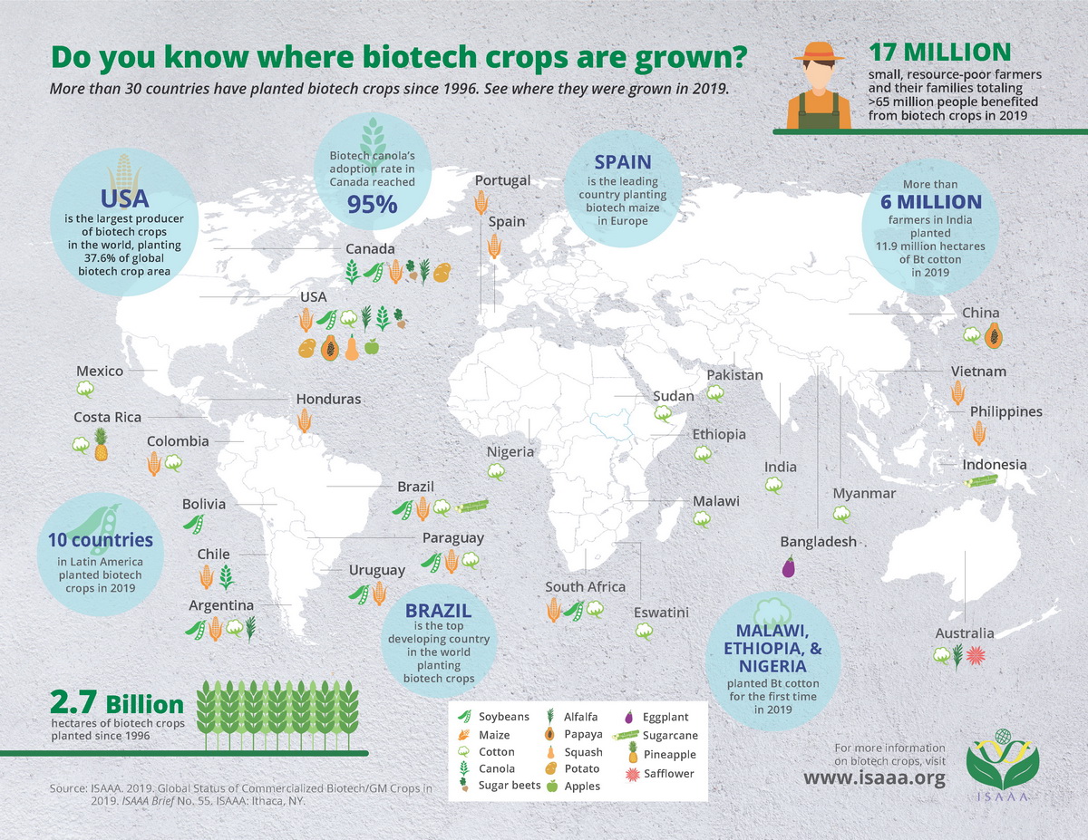 2019 Do You Know Where Biotech Crops Are Grown