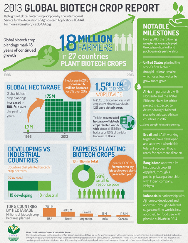 Отчет об использовании ГМО культур в мире