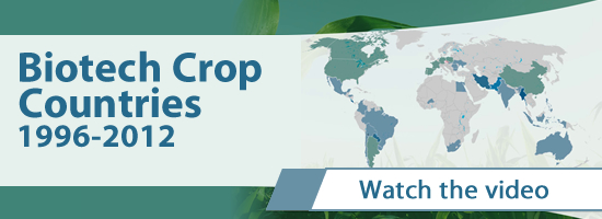 Biotech Crop Countries 1996-2012