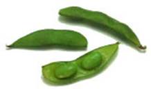 pk39-fig1