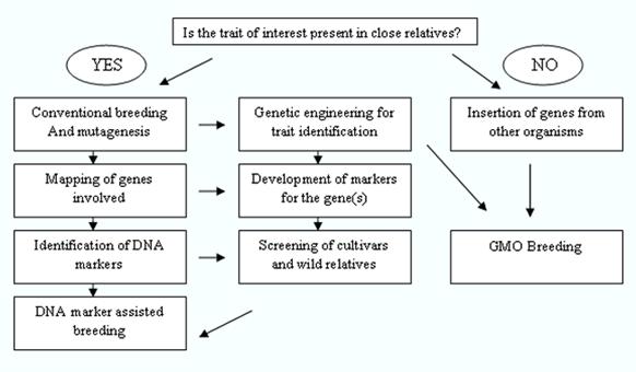 book conscience and conscientious objections