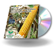 Watch the video: Asia's First: The Bt Corn Story in the Philippines 