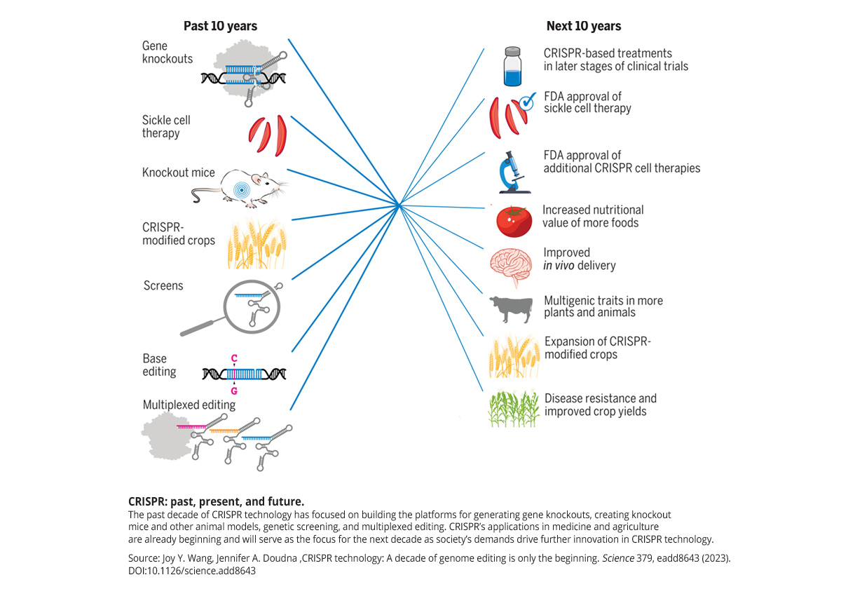The First Decade Of CRISPR Advances And Outlook Science Speaks 