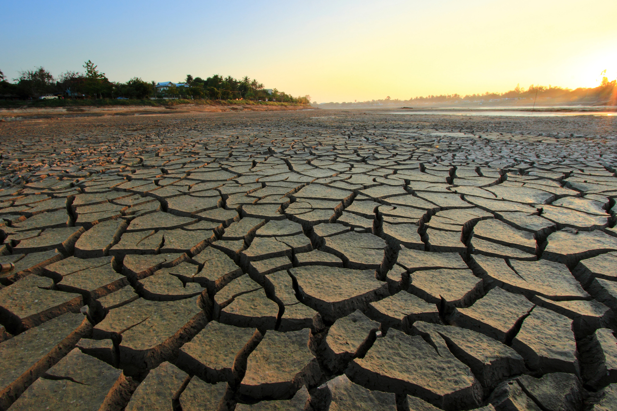 Kenyans Need to Turn to GM Crops to Combat Drought