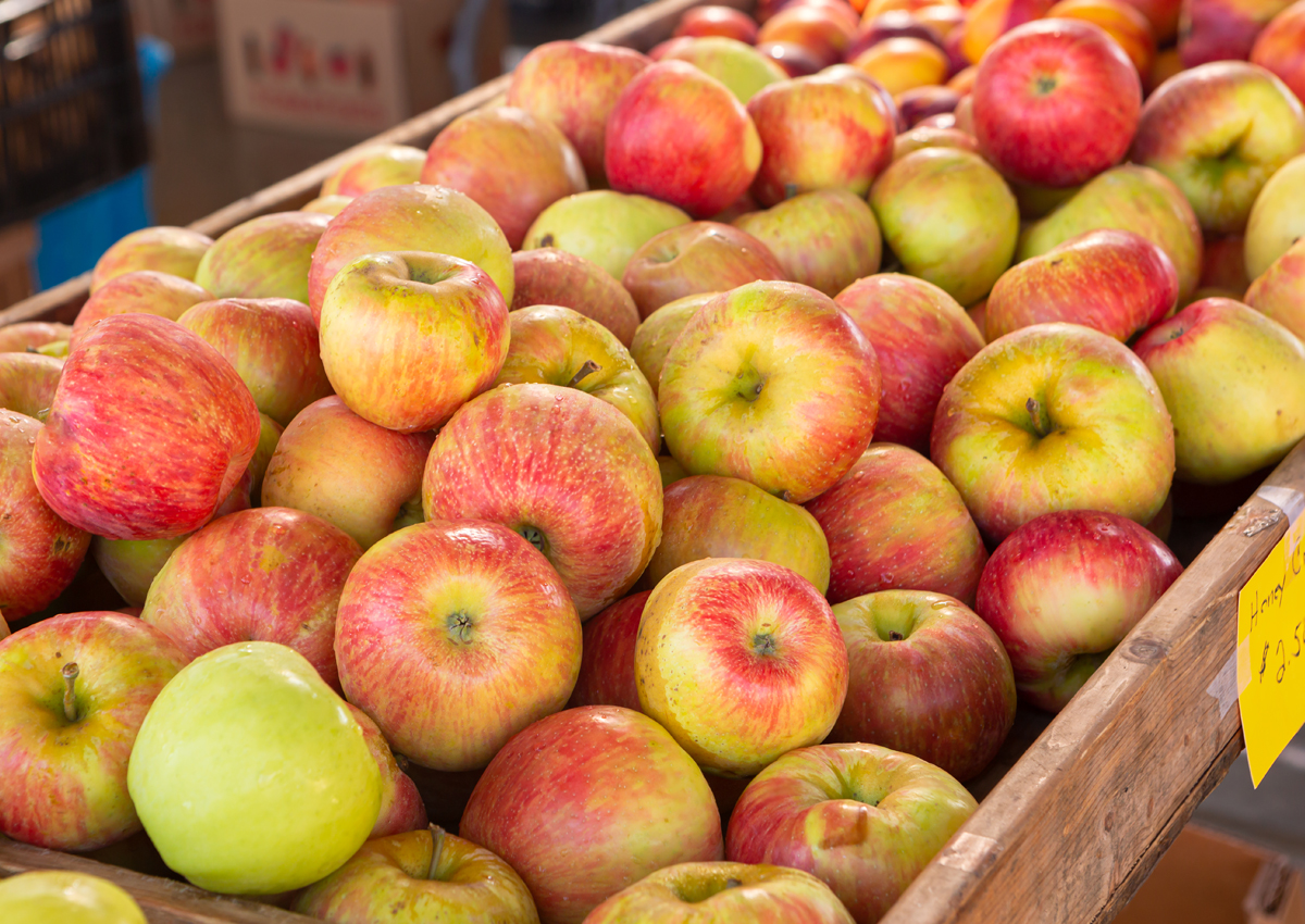 Scientists Sequence Honeycrisp Apple Genome- Crop Biotech Update