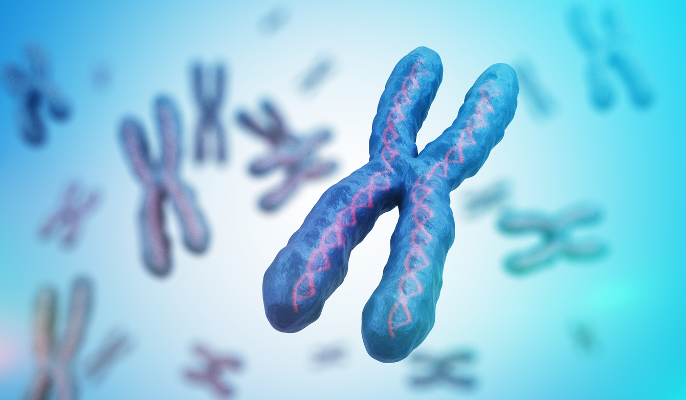 Scientists Decode Complete Sequence Of Human Chromosome X For The First