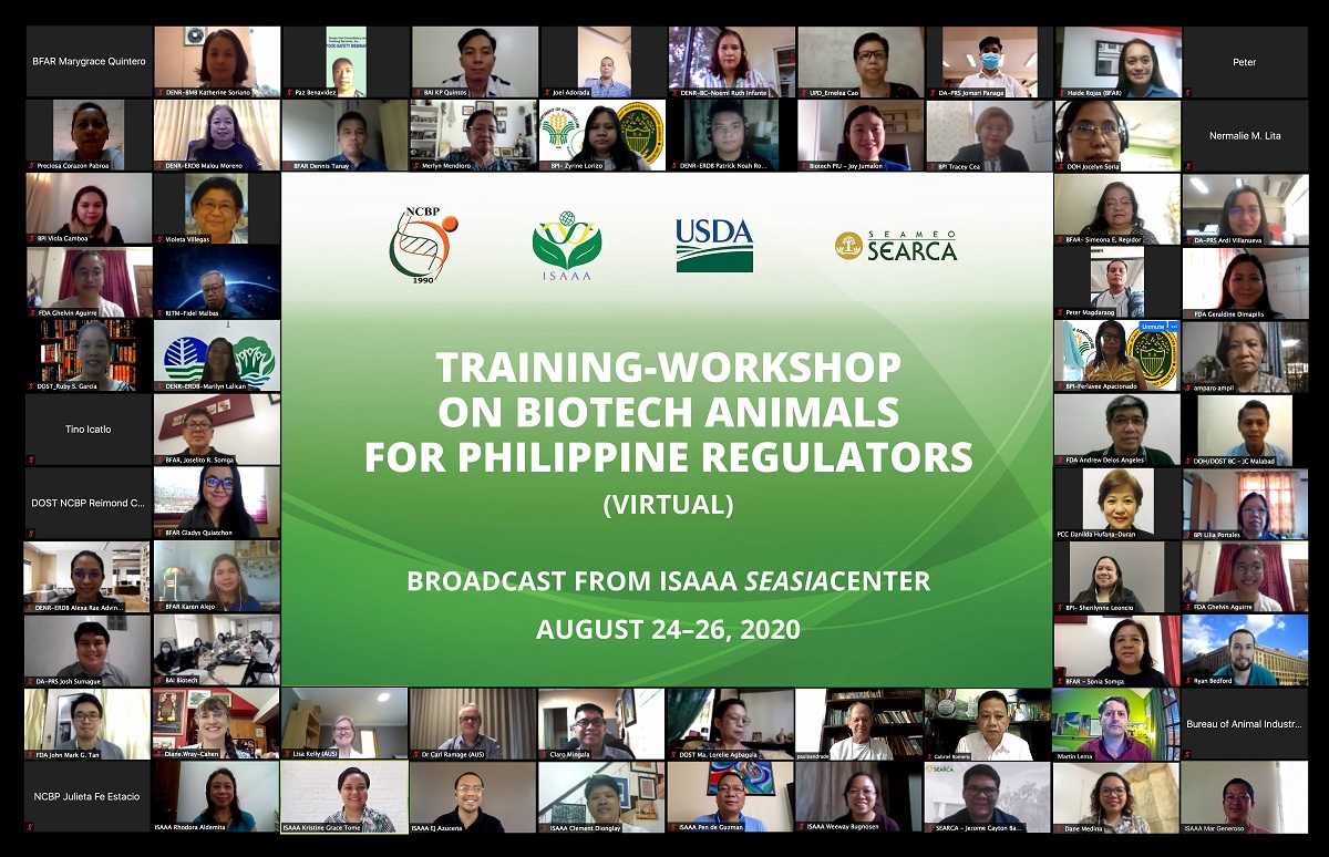 Filipino Regulators Learn from International Experts in Regulating Animal  Biotech Products- Crop Biotech Update (August 26, 2020) | Crop Biotech  Update 