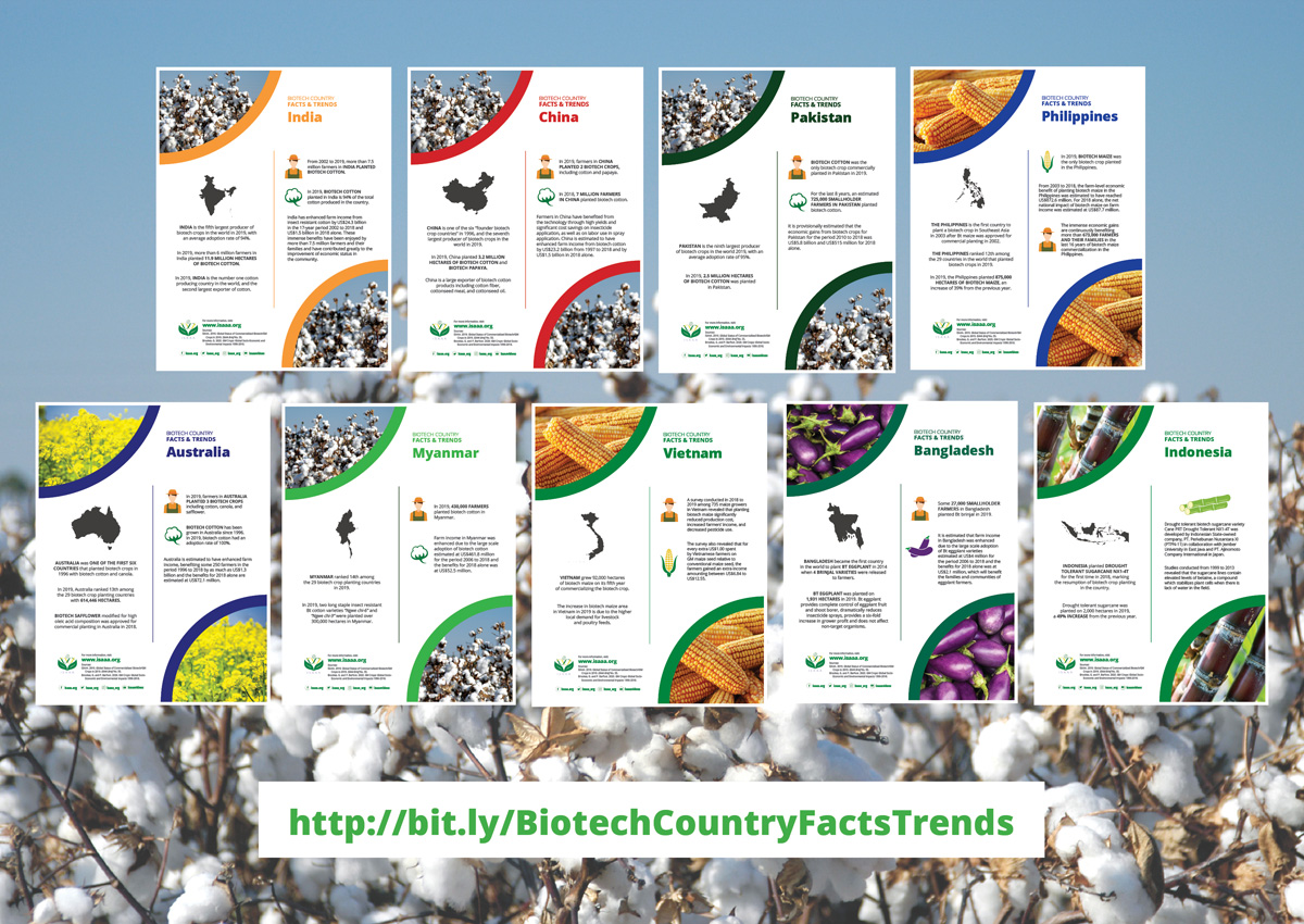 Nine Countries in Asia and the Pacific Planted 19.5 Million Hectares of ...
