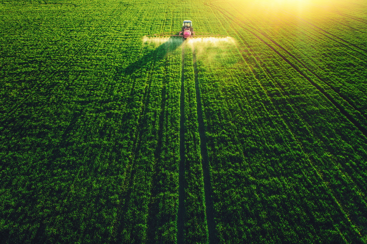 5 Ways Biotech Crops Slow Down Climate Change | Science Speaks 