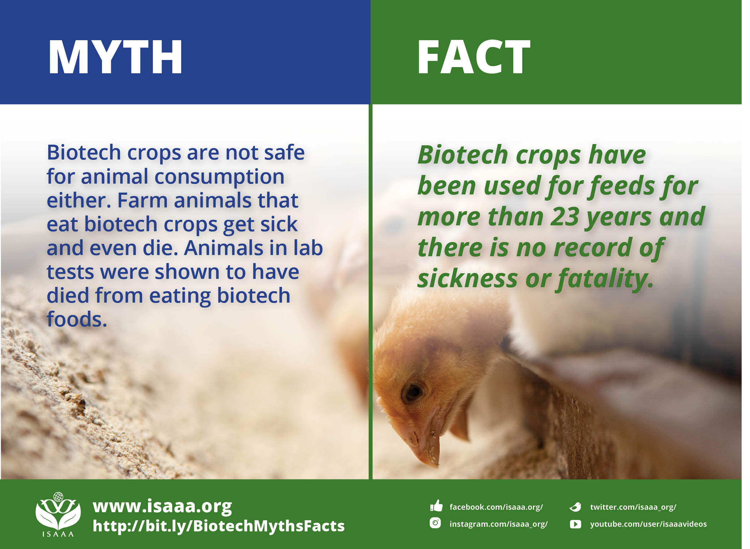 ISAAA Answers Top 10 Myths about Agricultural Biotechnology | Science Speaks ISAAA Answers Top 10 Myths about Agricultural Biotechnology | Science Speaks