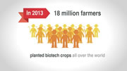 Biotech Crop Adoption in 2013