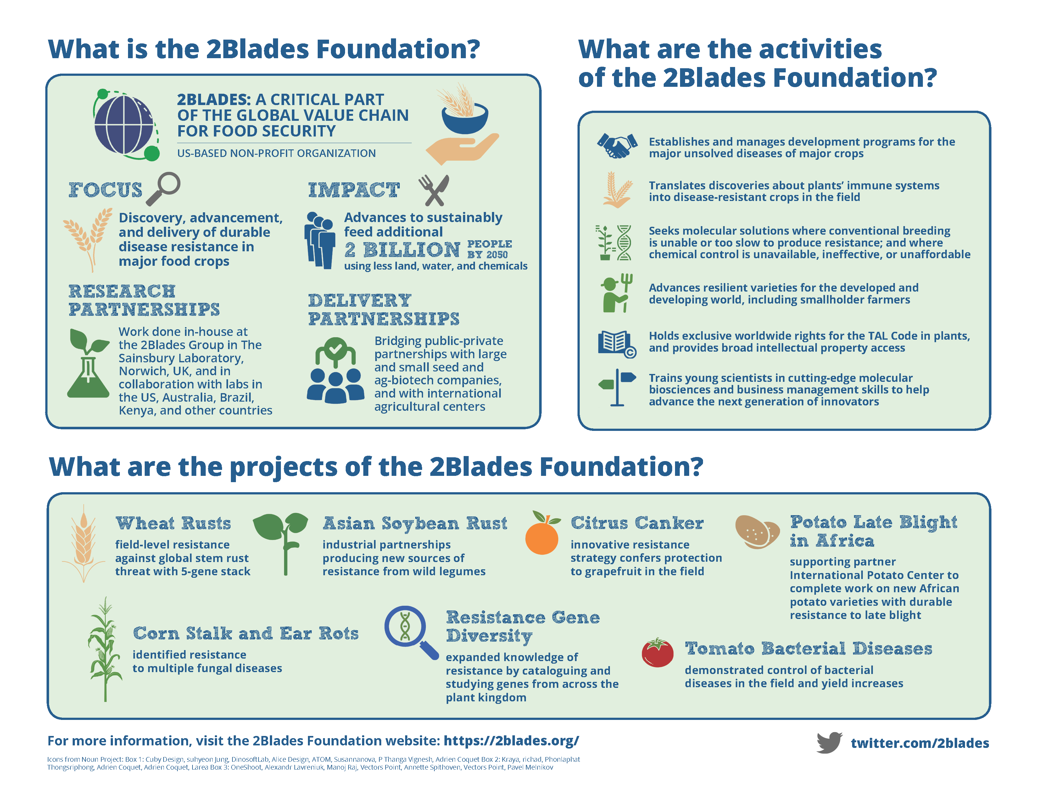 What is the 2Blades Foundation?