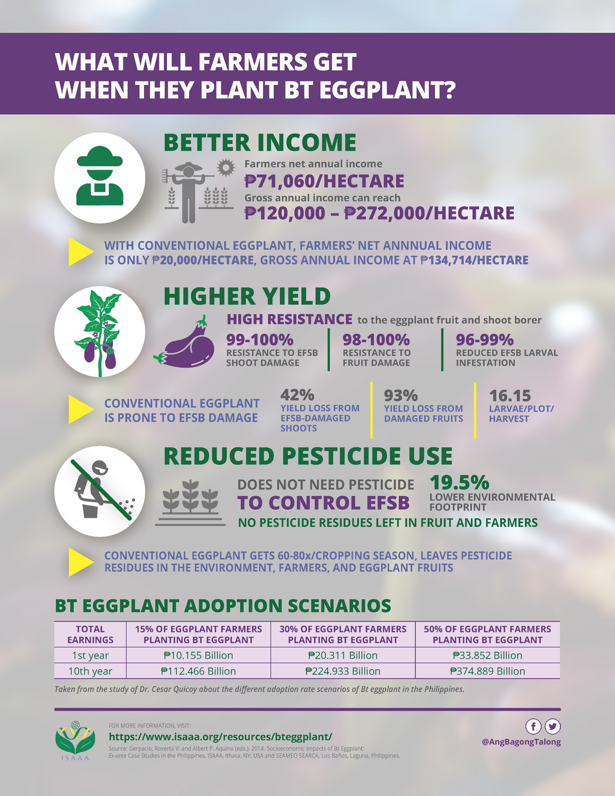 What Will Farmers Get from Planting Bt Eggplant?