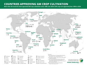Countries Approving GM Crop Cultivation