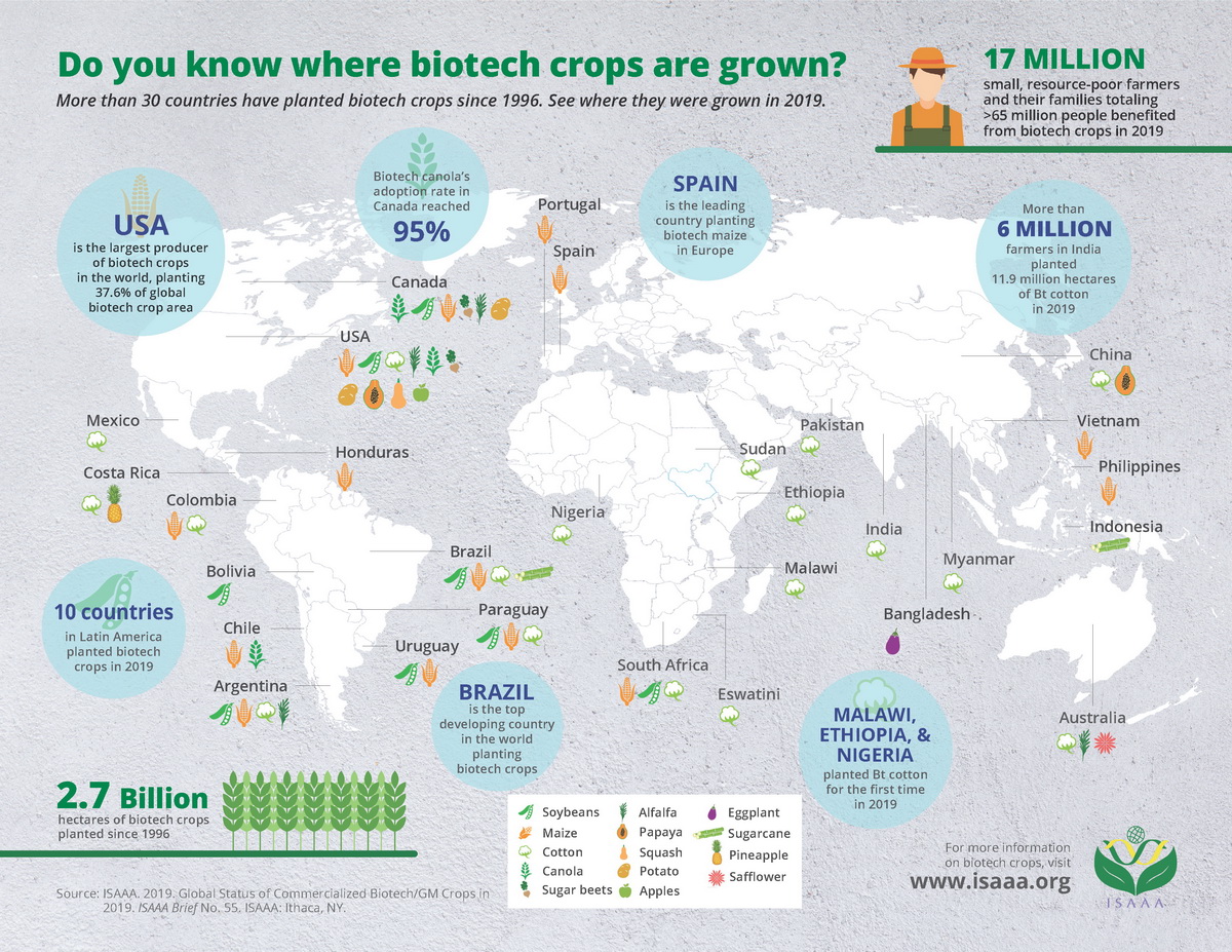 Do you know where biotech crops are grown?