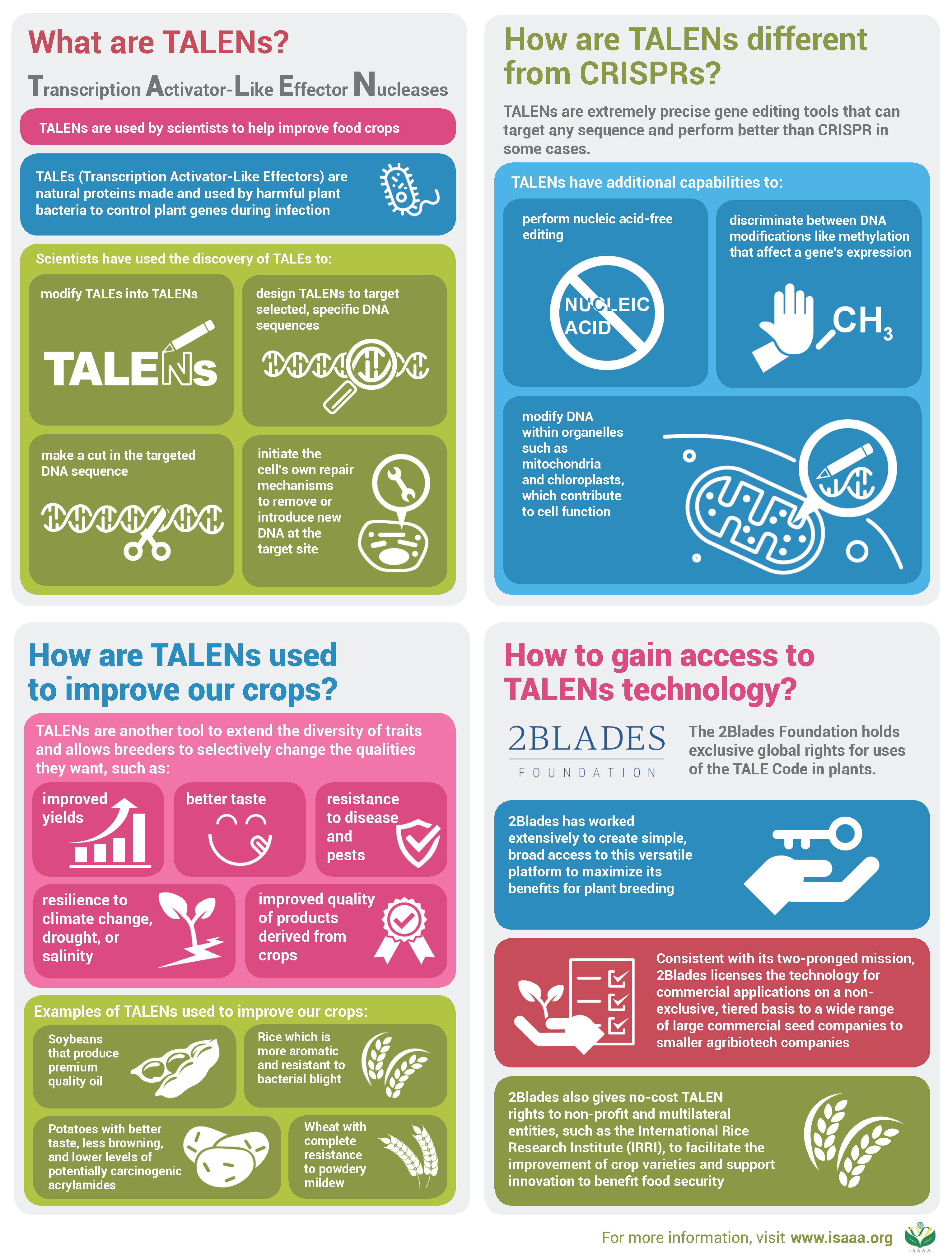 What are TALENs?