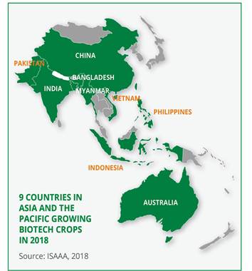 Asia and the Pacific.jpg